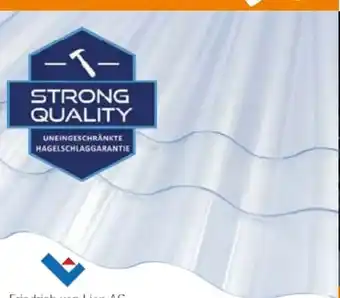 Globus Baumarkt Friedrich von Lien AG PVC-Wellplatte Strong 76/18 Angebot