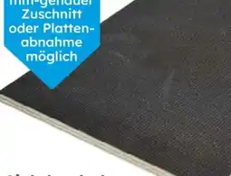 Globus Baumarkt Siebdruckplatte Angebot