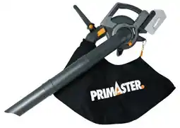 Globus Baumarkt Primaster Akku Laubsauger PALS 40 Angebot