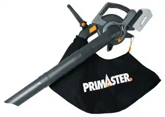 Globus Baumarkt Primaster Akku Laubsauger PALS 40 Angebot