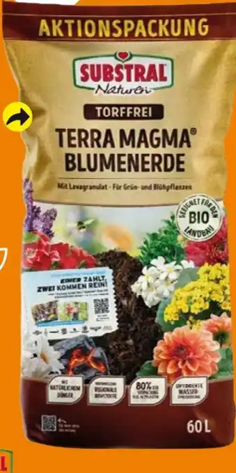 Globus Baumarkt Substral Blumenerde Angebot