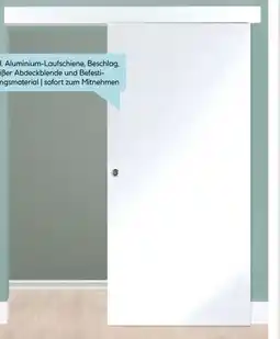 Hellweg Weißlack-Schiebetür Angebot