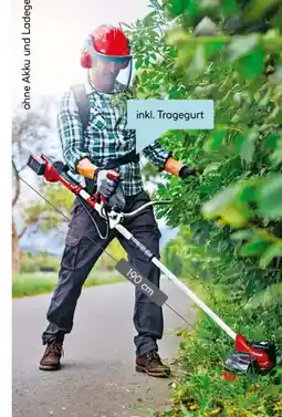 Hellweg Einhell Akku-Sense Agillo Angebot