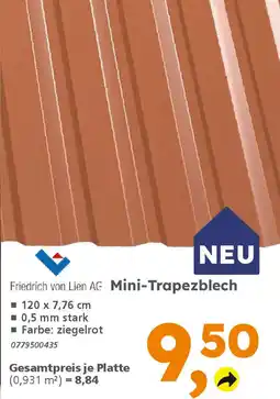 Globus Baumarkt Friedrich von Lien AE Mini-Trapezblech Angebot
