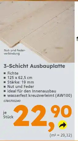 Globus Baumarkt 3-Schicht Ausbauplatte Angebot
