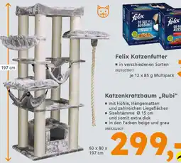Globus Baumarkt Katzenkratzbaum „,Rubi❝ Angebot