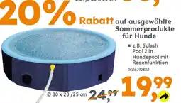 Globus Baumarkt Splash Pool Angebot