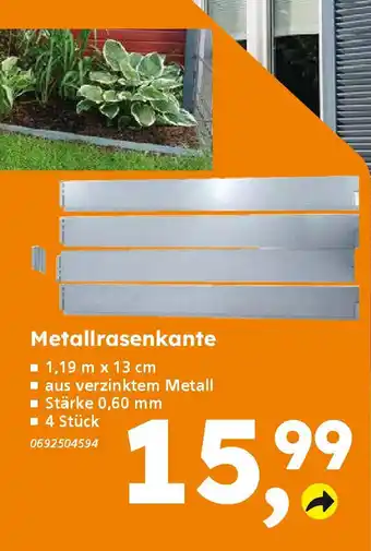 Globus Baumarkt Metallrasenkante Angebot