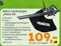 Globus Baumarkt PRIMASTER Akku Laubsauger ,,PALS 40 Angebot