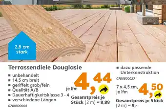 Globus Baumarkt Terrassendiele Douglasie Angebot