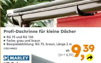 Globus Baumarkt Profi-Dachrinne für kleine Dächer Angebot