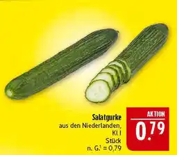 Marktkauf Salatgurke Angebot