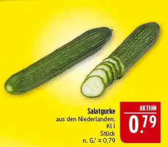 Marktkauf Salatgurke Angebot