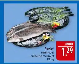 Marktkauf Forelle natur Angebot