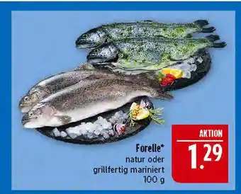 Marktkauf Forelle natur Angebot