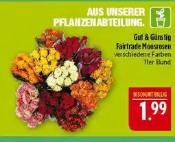 Marktkauf Gut & günstig fairtrade moosrosen Angebot