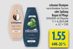 diska Schauma shampoo repair & pflege Angebot