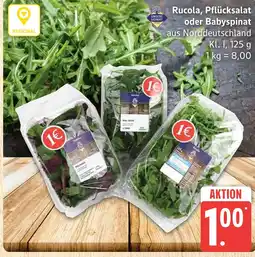 Marktkauf Unsere heimat rucola Angebot