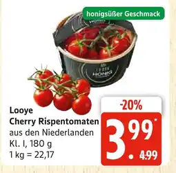 Marktkauf Looye cherry rispentomaten Angebot