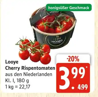 Marktkauf Looye cherry rispentomaten Angebot