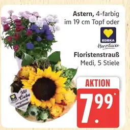Marktkauf Edeka herzstücke astern Angebot