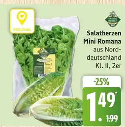 Marktkauf Salatherzen mini romana Angebot