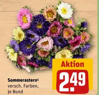 REWE Sommerastern Angebot