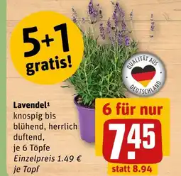REWE Lavendel Angebot