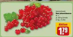 REWE Rote johannisbeeren Angebot