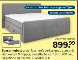 ROLLER Boxspringbett Angebot