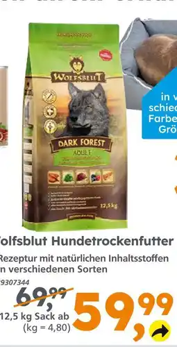 Globus Baumarkt Wolfsblut dark forest adult hundetrockenfutter Angebot