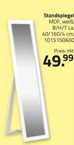 ROLLER Standspiegel Angebot