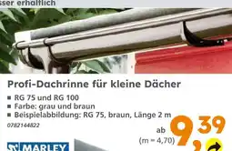 Globus Baumarkt Marley profi-dachrinne rg 75 Angebot