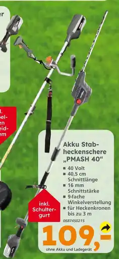 Globus Baumarkt Akku stabheckenschere pmash 40 Angebot