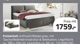 ROLLER Polsterbett anthrazit/absatz grau Angebot