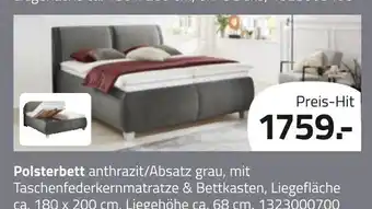 ROLLER Polsterbett anthrazit/absatz grau Angebot