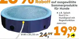 Globus Baumarkt Splash pool 2 in 1: hundepool mit regenfunktion Angebot