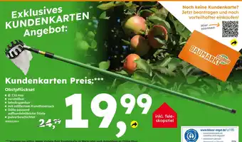 Globus Baumarkt Obstpflückset Angebot