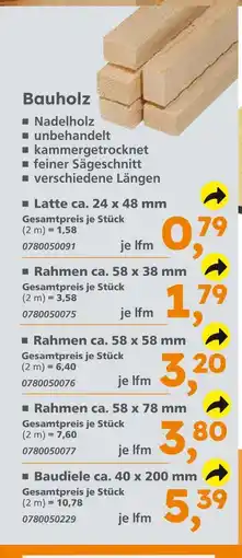 Globus Baumarkt Latte ca. 24 x 48 mm Angebot