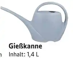E-Center Gießkanne Angebot