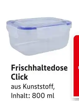 E-Center Frischhaltedose click Angebot