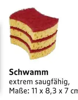 E-Center Schwamm Angebot