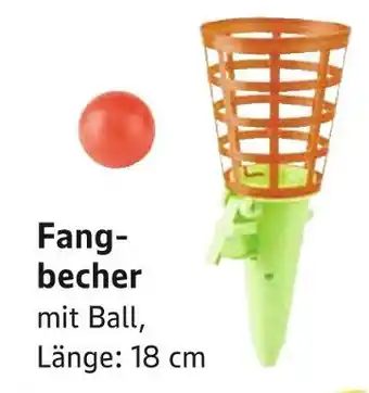 E-Center Fangbecher Angebot