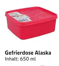 E-Center Gefrierdose alaska Angebot