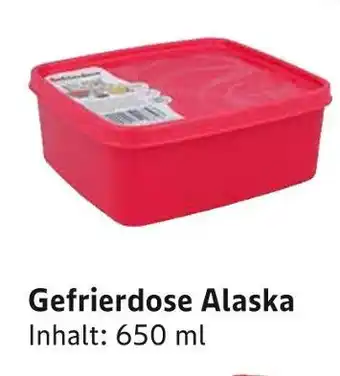 E-Center Gefrierdose alaska Angebot