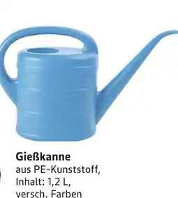 E-Center Gießkanne Angebot