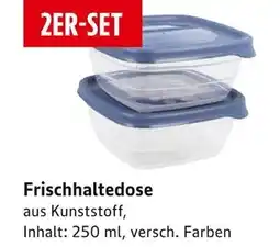 E-Center Frischhaltedose Angebot