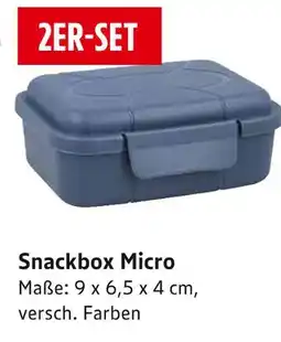 E-Center Snackbox micro Angebot