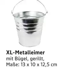 E-Center Xl-metalleimer Angebot