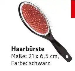 E-Center Haarbürste Angebot